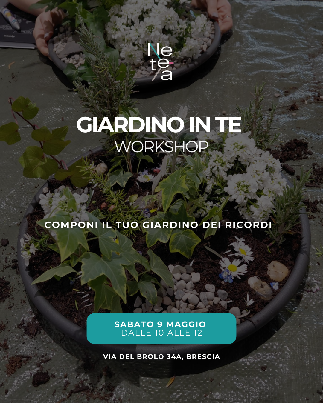 GIARDINO IN TE in miniatura dei ricordi